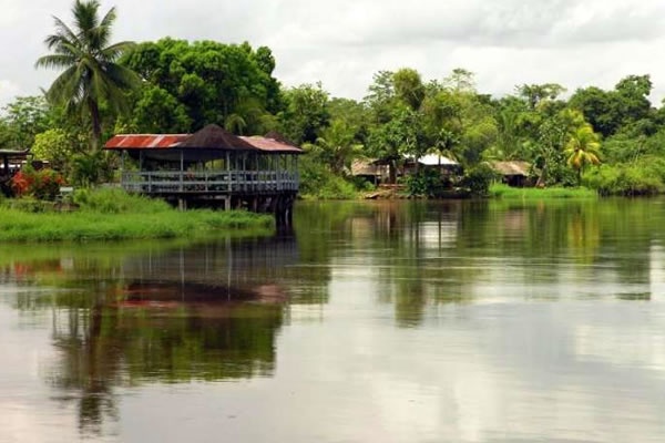 Суринам самое маленькое государство Южной Америки. Фото: stranyplanety.ru