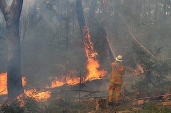 Масштабные пожары начались в Австралии еще в середине сентября 2019 года. Министерство обороны впервые в истории страны объявило мобилизацию трех тысяч военнослужащих-резервистов. По состоянию на начало января 2020-го погибло 28 человек, сгорело около двух тысяч домов, сожжено примерно шесть миллионов гектаров земли