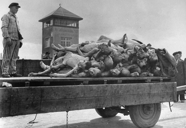 Автоприцеп с телами узников одного из первых немецких концлагерей Дахау, май 1945 года